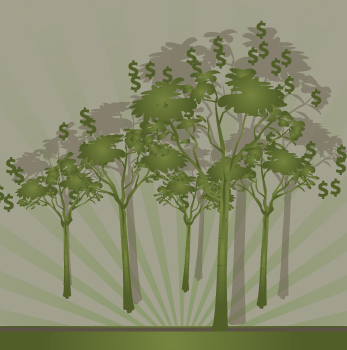 moneytree